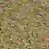 Sera Vipagran Nature 12gr