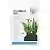 Tropica Aquarium Soil 9Lt Bitki Kumu