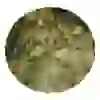 Tropical 3-Algae Flakes 20gr