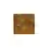 Tropical Goldfish Color Flakes 12gr