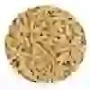 Tropical Koi & Goldfish Basic Sticks 4kg