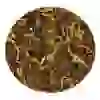Tropical Soft Line Carnivore Floating Type 250ml 80gr