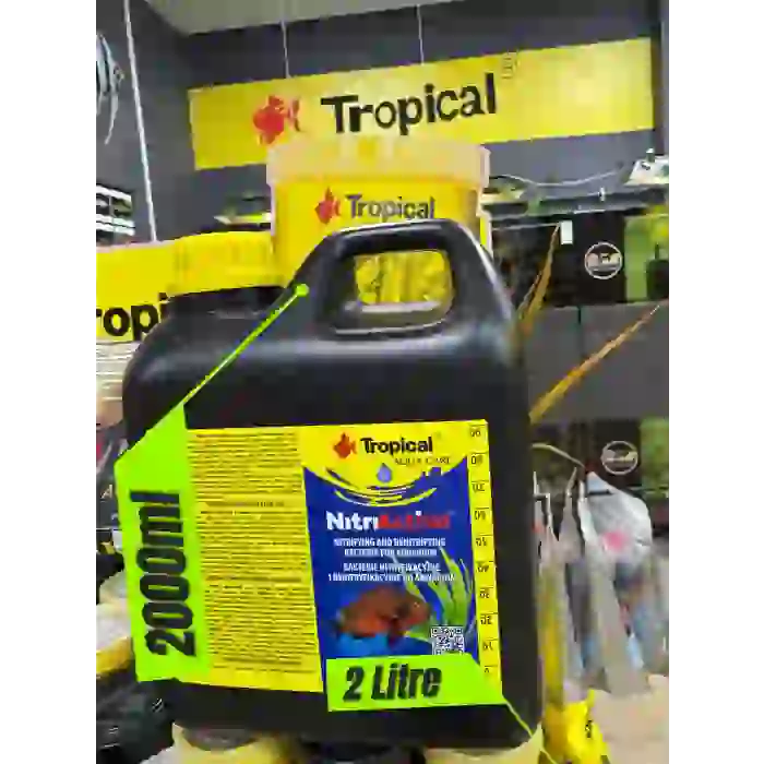 2 LT Tropical Nitri Active 100 Milyon Hücre