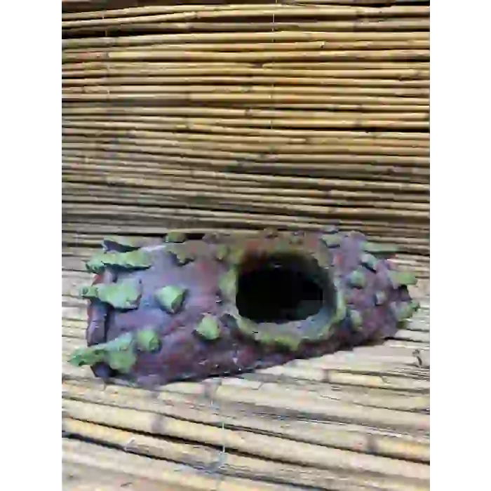 AXOLOTL YUVA 30x10x10cm