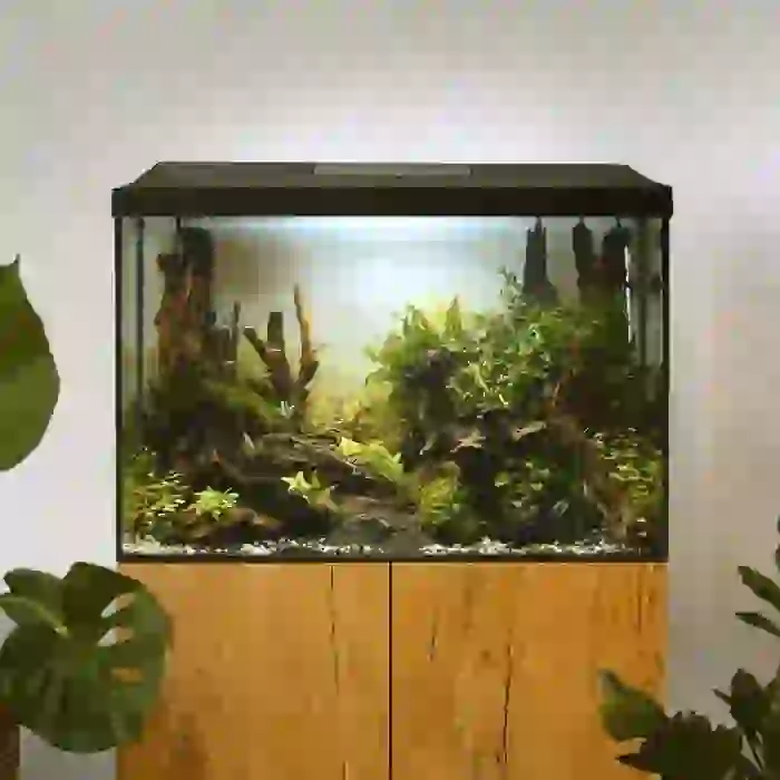 Aquael - Aquarium Set Leddy 60XL Black D&N 72lt