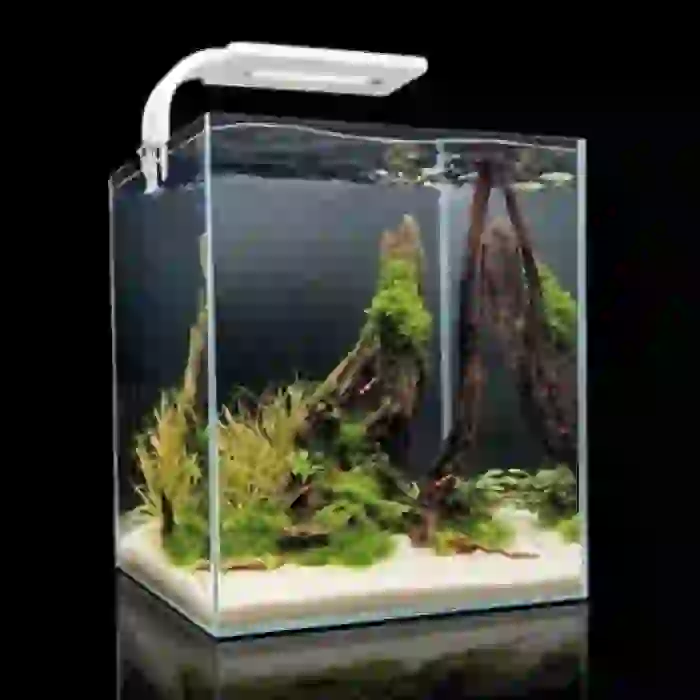 Aquael Shrimp Set Day and Night 10 Karides Akvaryumu Beyaz