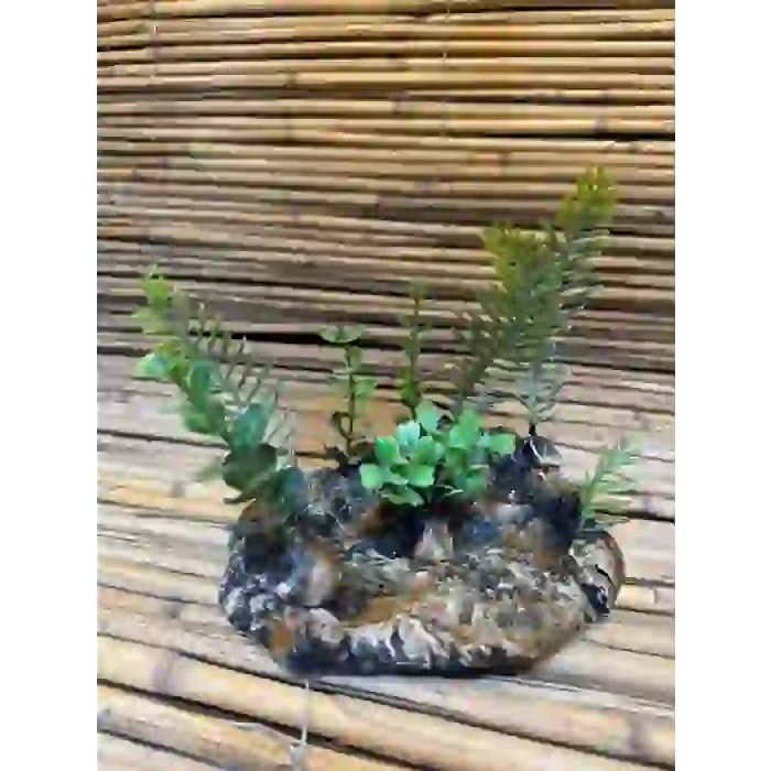 Bitki Çanak 14x7x8cm