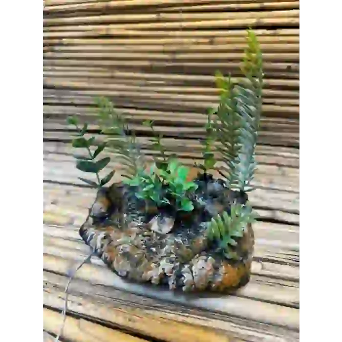Bitki Çanak 14x7x8cm