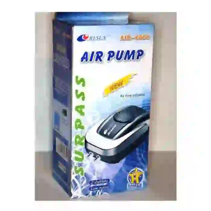 Resun AIR 4000 Çift Çıkışlı Hava Motoru