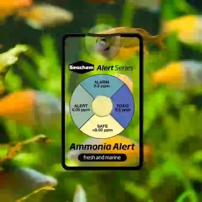 Seachem Alert Combo - Ph+ Ammonia Göstergesi