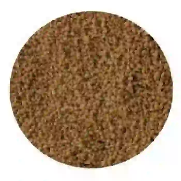Sera Discus Color Nature Kovadan Bölme 100gr