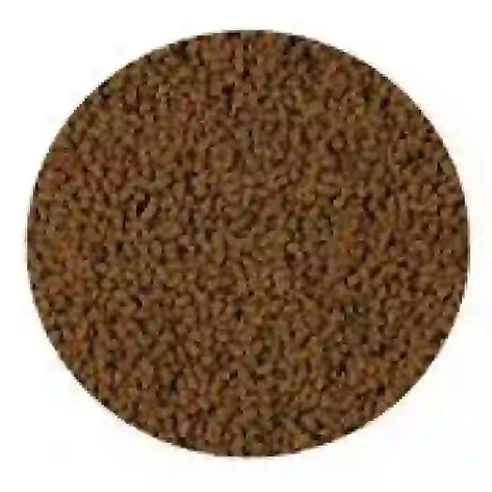 Sera Insect Nature 36gr