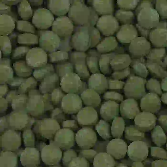 Sera Plankton Tabs Nature Kovadan Bölme 100 adet