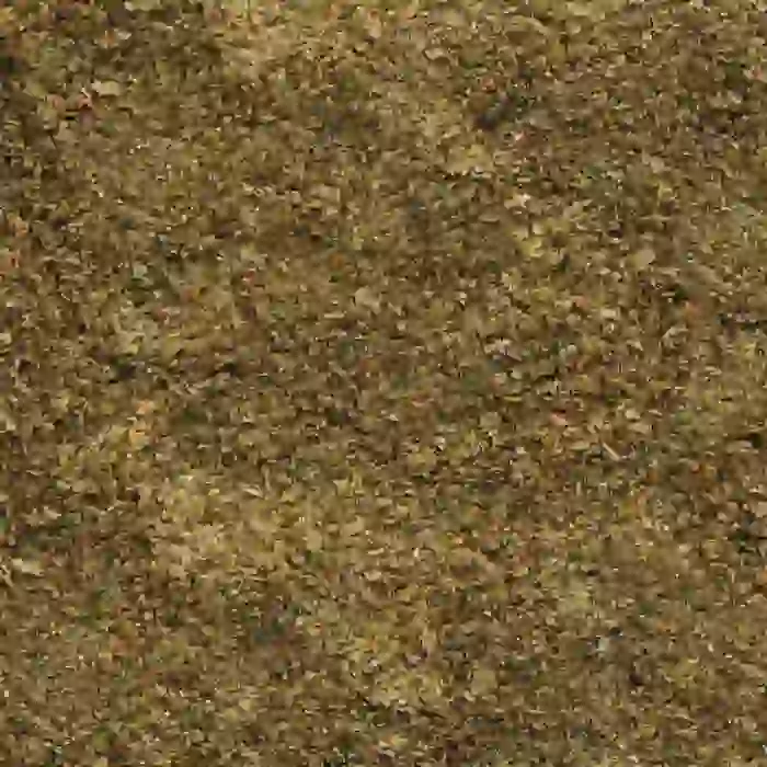 Sera Vipan Baby Nature Kovadan Bölme 100gr