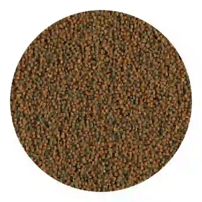 Tetra Cichlid Algae Mini Pellets Kovadan Bölme 100gr