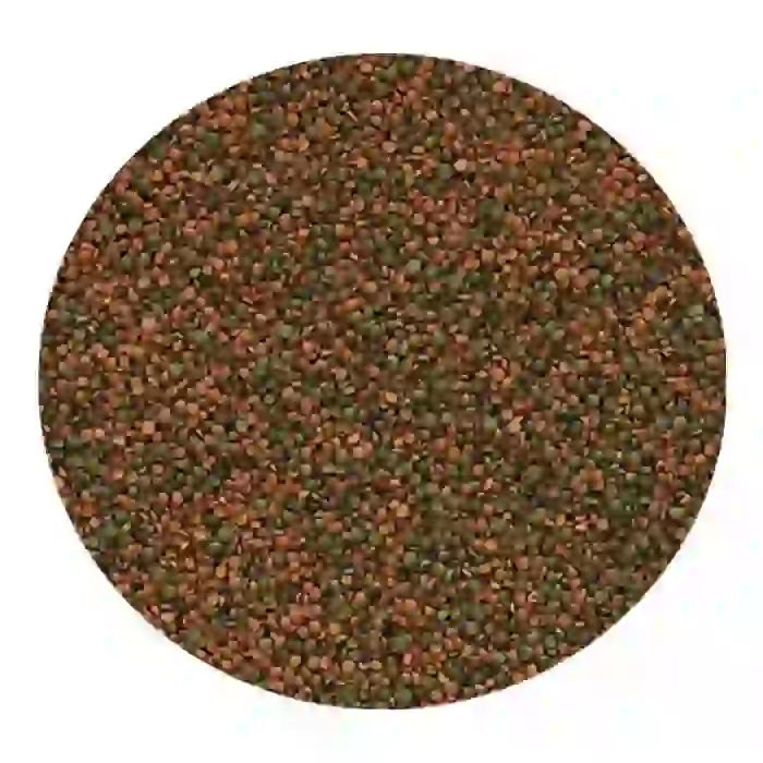 Tropical Cichlid Gran Kovadan Bölme 100gr