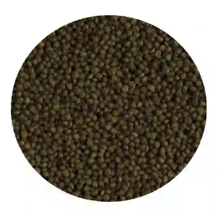 Tropical Flover Horn Young 95gr
