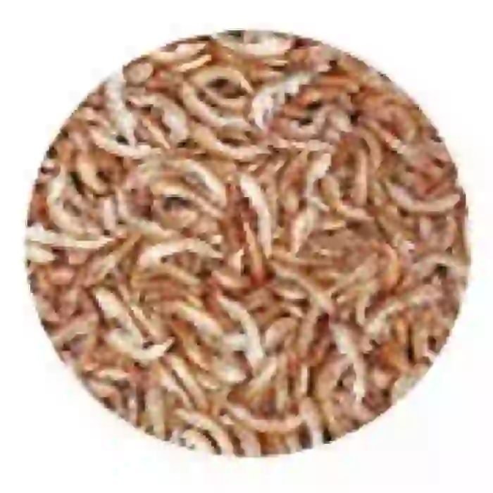 Tropical Gammarus 30gr