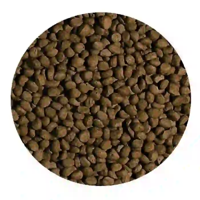 Tropical Koi Wheat Germ & Garlic Size M 1000ml 320gr