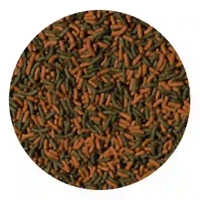 Tropical Red & Green Medium Sticks Kovadan Bölme 100gr