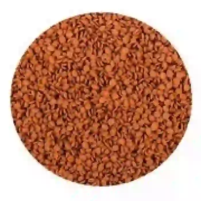 Tropical Soft Line Africa Carnivore Size M 52gr