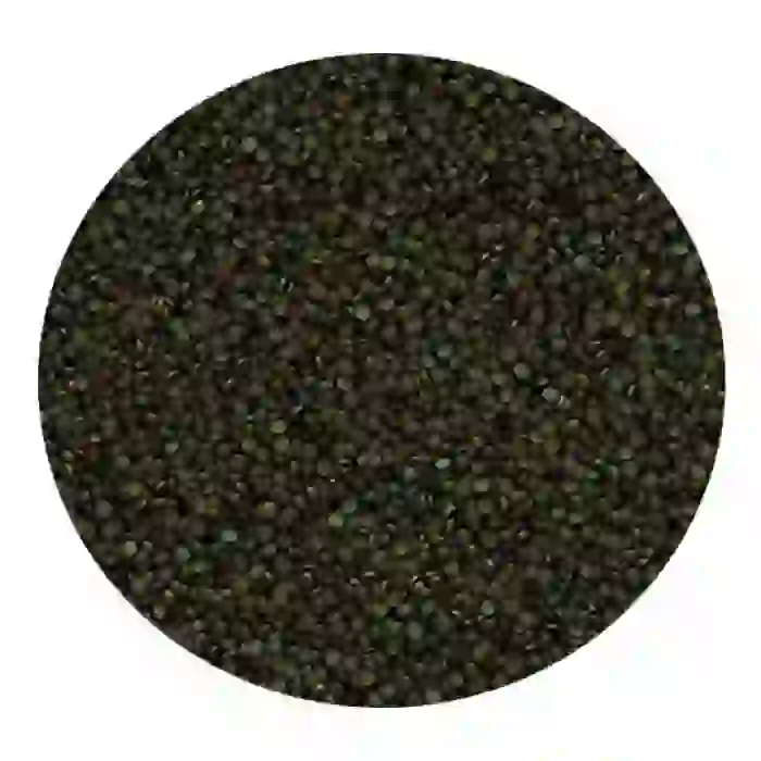 Tropical Spirulina Super Forte Granulat 100ml 60gr