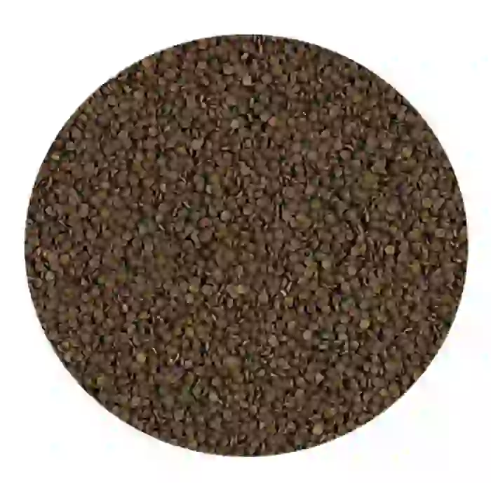 Tropical Welsi Gran Kovadan Bölme 100gr