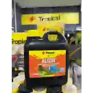 2 LT Tropical Algin Yosun Önleyici