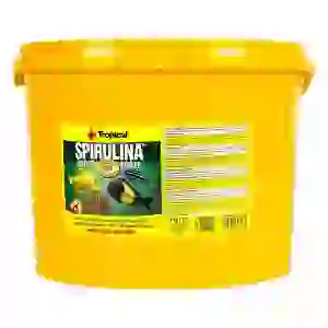 Tropical Spirulina Super Forte Flakes Kovadan Bölme 100gr