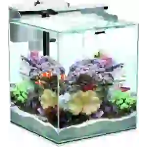 Aquael Set Nano Reef Duo 30 Akvaryum Beyaz