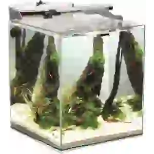 Aquael Duo 49 L