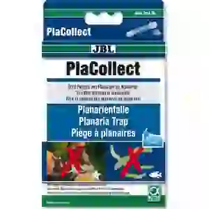 Jbl Placollect Planarya Tuzağı