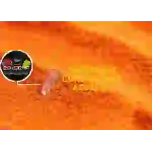 PREMİUM KABUKSUZ ARTEMİA (12 GR)