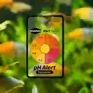 Seachem Alert Combo - Ph+ Ammonia Göstergesi