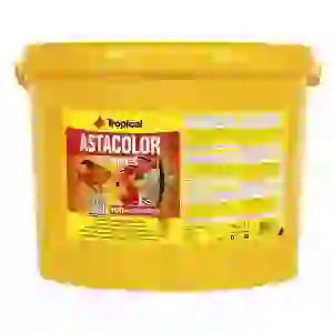 Tropical Astacolor Kovadan Bölme 100gr
