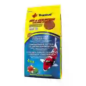 Tropical Koi & Goldfish Color Sticks 4kg