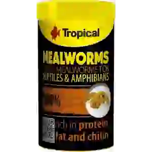 Tropical Mealworms 30gr