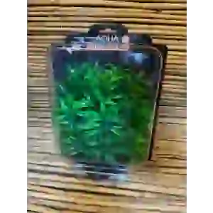 Ypy700 20x16x10cm
