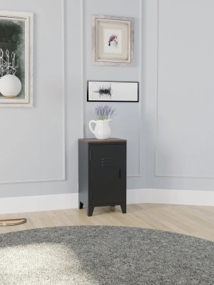 Metal Dosya Kitaplık Dolabı Vintage