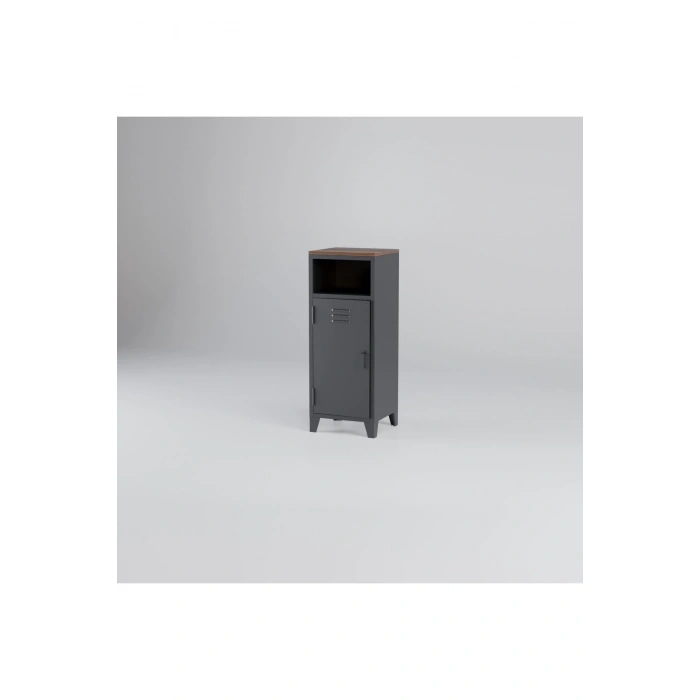 Metal Dosya Kitaplık Dolabı Vintage