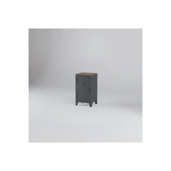 Metal Dosya Kitaplık Dolabı Vintage