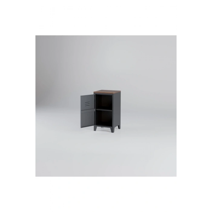 Metal Dosya Kitaplık Dolabı Vintage