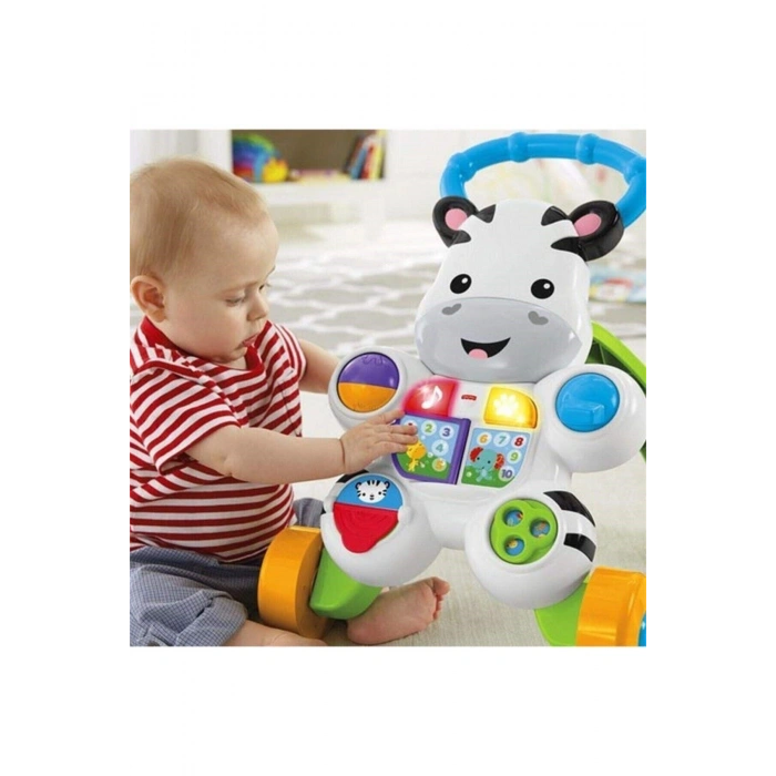 Melodili Zebra Yürüteç Dld80