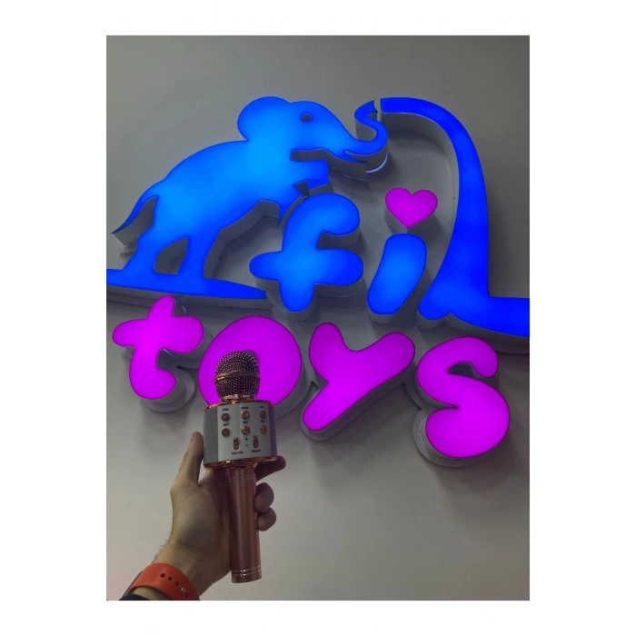 Ses Değiştirmeli Karaoke Mikrofon şarj edilebilir