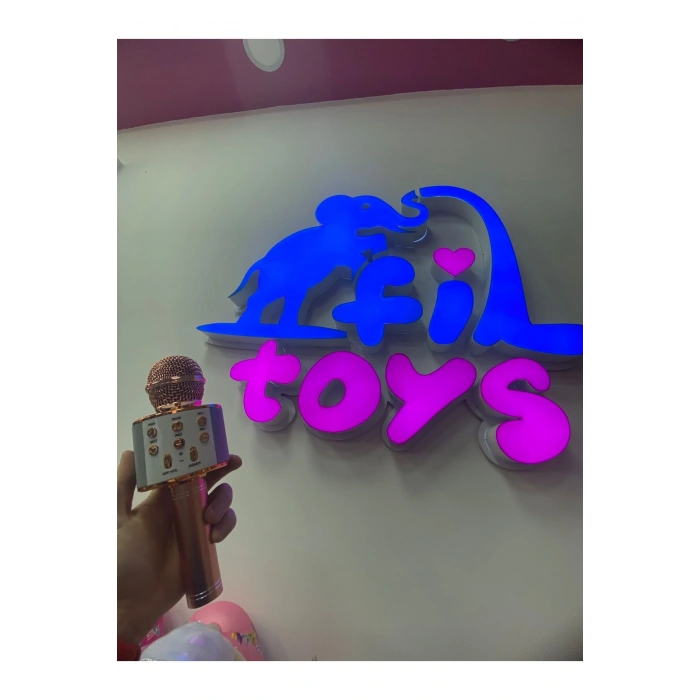 Ses Değiştirmeli Karaoke Mikrofon şarj edilebilir