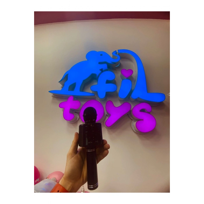 Ses değiştirmeli karaoke mikrofon şarj edilebilir siyah