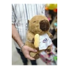 35 Cm Kapibara Peluş Kahverengi Önlüklü Aşçı Capybara Sevimli Uyku Arkadaşı