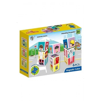 MANYETİK 6 PRÇ ZEKA KÜPÜ