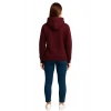 Kapüşonlu Sweatshirt AG MTAL Unisex Günlük Rahat Model