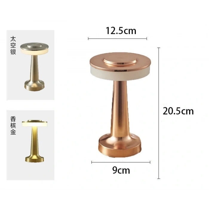 Dekoratif Led Masa Lambası Mz-600